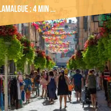 Proche Du Mourillon Confort Et Charme Apartment